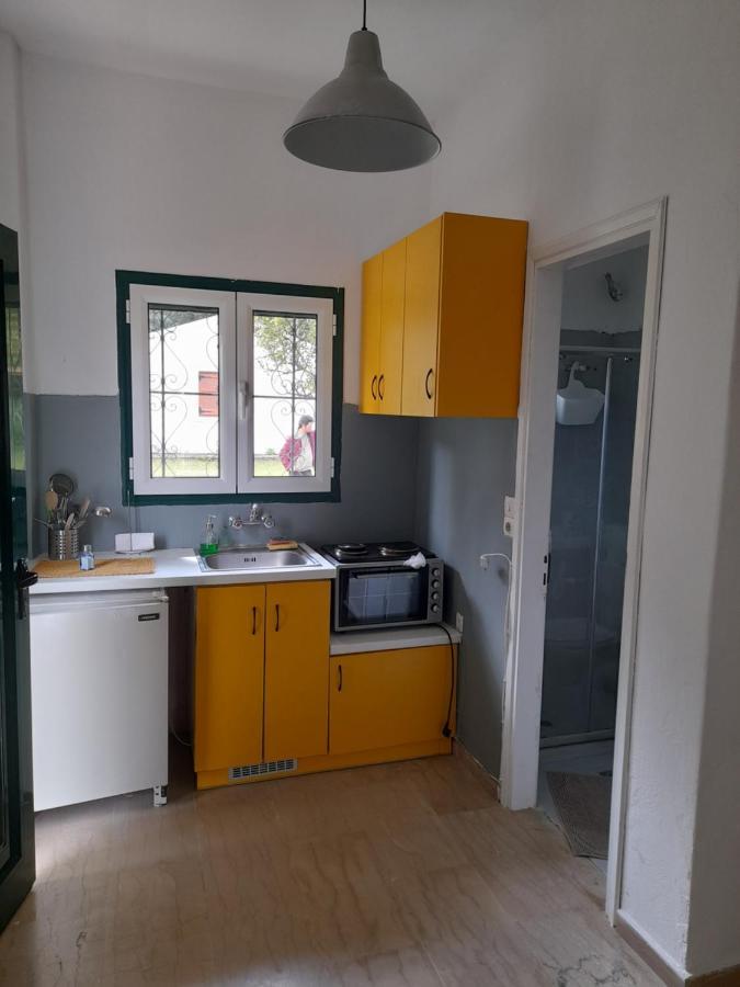 Olive Terra Holiday Aparments Lefkímmi Eksteriør bilde
