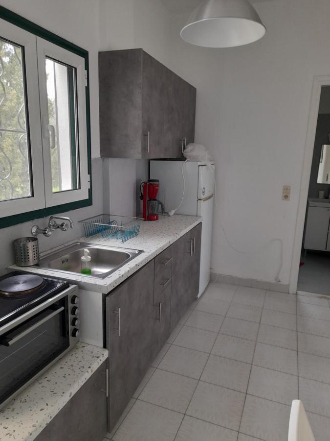 Olive Terra Holiday Aparments Lefkímmi Eksteriør bilde